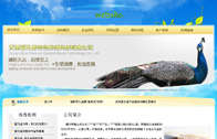 萬聯(lián)網(wǎng)
