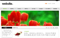 萬聯(lián)網(wǎng)